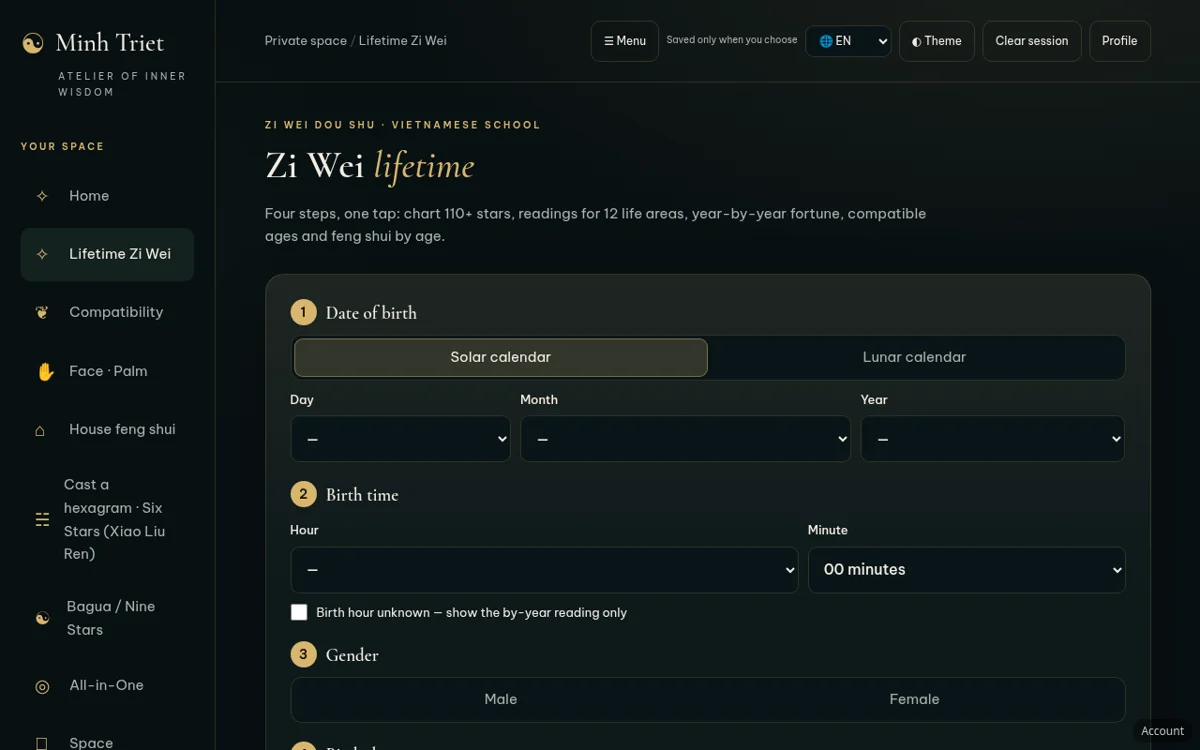 Zi Wei lifetime chart form