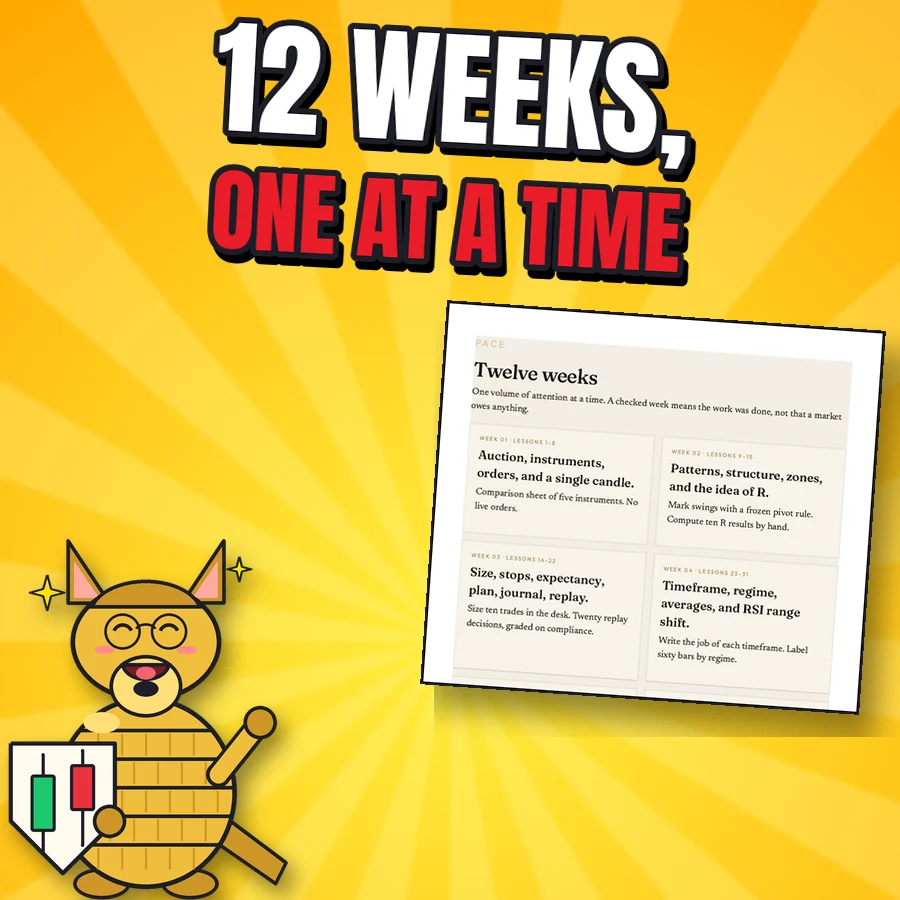 Happy cartoon armadillo next to the real Twelve weeks study programme page